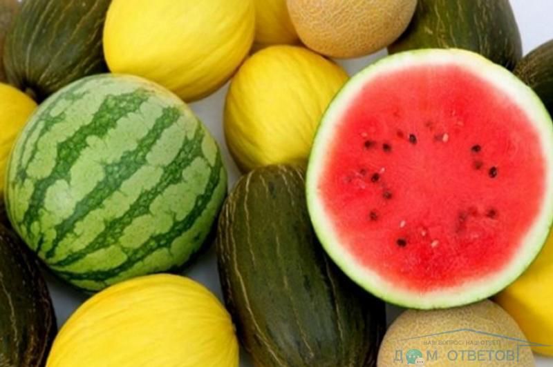 Odoo - Sample 1 for three columns